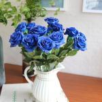 Blue Rose