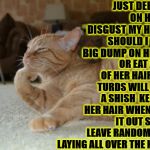 CAT DEBATE | JUST DEBATING ON HOW TO DISGUST MY HUMAN! SHOULD I TAKE A BIG DUMP ON HER BED; OR EAT A PIECE OF HER HAIR SO MY TURDS WILL BE LIKE A SHISH  KEBAB ON HER HAIR WHEN I POOP IT OUT SO I CAN LEAVE RANDOM TURDS LAYING ALL OVER THE HOUSE? | image tagged in cat debate | made w/ Imgflip meme maker