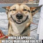 Let me get a toke | WHEN CA APPROVES MEDICAL MARIJUANA FOR PETS | image tagged in happy dog,medical marijuana,california | made w/ Imgflip meme maker