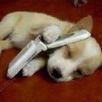 Puppy Phone