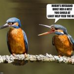 Birds | image tagged in birds | made w/ Imgflip meme maker