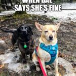 Dog Doods | WHEN BAE SAYS SHE'S FINE | image tagged in dog doods | made w/ Imgflip meme maker