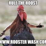 Gladiator Rooster | RULE THE ROOST; WWW.ROOSTER WASH.COM | image tagged in gladiator rooster | made w/ Imgflip meme maker