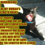 DISGUSTING TURD | & WHEN I POOPED THE TURDS CAME OUT ON THE HAIR LIKE A SHISH KEBAB & RANDOM PIECES FELL OFF & I DRAGGED ONE ALONG THE COUNTER TOP! SHE HAD TO PULL HER HAIR WITH TURDS ON IT OUT OF MY ANUS & SCRUB THE COUNTER WITH CLOROX; AHHH HAHAHAAHA! I ATE A PIECE OF MY HUMAN'S BUTT LENGTH HAIRS | image tagged in disgusting turd | made w/ Imgflip meme maker