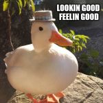 Duck | LOOKIN GOOD FEELIN GOOD | image tagged in duck | made w/ Imgflip meme maker