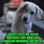 My condolences to anyone that is remembering someone this holiday. | A SALUTE TO ALL MY FALLEN BROTHERS THAT WON'T BE CELEBRATING MEMORIAL DAY WITH US | image tagged in dog saluting,memes,not funny,memorial day,remember,condolences | made w/ Imgflip meme maker