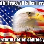 Memorial Day | Rest in Peace all fallen heroes; A grateful nation salutes you | image tagged in american flag,memorial day,rip,heroes,serious,america | made w/ Imgflip meme maker