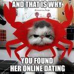 Crabby Cat | AND THAT IS WHY; YOU FOUND HER ONLINE DATING | image tagged in crabby cat | made w/ Imgflip meme maker