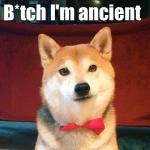 Ancient doge
