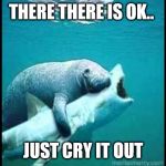 manatees - natures therapists | THERE THERE IS OK.. JUST CRY IT OUT | image tagged in manatee hugs sharkhark,cute animals,compassion | made w/ Imgflip meme maker