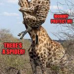 Funny Giraffe | AHHHH MOMMY PROTECT ME THERE'S A SPIDER! | image tagged in funny giraffe | made w/ Imgflip meme maker