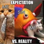 Fish eating cat | EXPECTATION; ME; SIN; SIN; ME; VS. REALITY | image tagged in fish eating cat | made w/ Imgflip meme maker