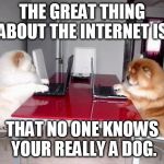 anon | THE GREAT THING ABOUT THE INTERNET IS, THAT NO ONE KNOWS YOUR REALLY A DOG. | image tagged in internet dogs | made w/ Imgflip meme maker