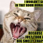 A BIG CRAP | I WOULDN'T GO IN THAT ROOM HUMAN; BECAUSE I JUST TOOK A BIG SMELLY CRAP! | image tagged in a big crap | made w/ Imgflip meme maker