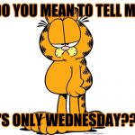 Grumpy Garfield Meme Generator - Imgflip