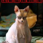 ONE MORE TIME | CALL ME FAT AND UGLY CALL ME THAT ONE MORE TIME; I DARE YOU! | image tagged in one more time | made w/ Imgflip meme maker