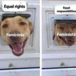 Feminist Dog