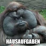 Funny animals | HAUSAUFGABEN | image tagged in funny animals | made w/ Imgflip meme maker