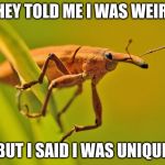 Happy Insect | THEY TOLD ME I WAS WEIRD; BUT I SAID I WAS UNIQUE | image tagged in happy insect | made w/ Imgflip meme maker