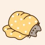 Pusheen cat in a burrito meme