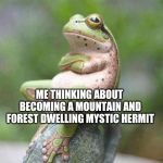 Thinking | ME THINKING ABOUT BECOMING A MOUNTAIN AND FOREST DWELLING MYSTIC HERMIT | image tagged in thinking | made w/ Imgflip meme maker