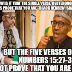 Nnamdi Kanu learns Igbos are in The Torah 001 | HOW IS IT THAT THE SINGLE VERSE, DEUTERONOMY 28:68, IS PROOF THAT YOU ARE "BLACK HEBREW ISRAELITES"; BUT THE FIVE VERSES OF               NUMBERS 15:27-31 DO NOT PROVE THAT YOU ARE NOT? | image tagged in nnamdi kanu learns igbos are in the torah 001 | made w/ Imgflip meme maker