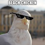 Arrogant seagull | BEACH CHICKEN | image tagged in arrogant seagull | made w/ Imgflip meme maker