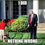 Kid and Trump | I DID; NOTHING WRONG | image tagged in kid and trump | made w/ Imgflip meme maker
