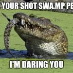 Cannibal Croc | TAKE YOUR SHOT SWA.MP PEOPLE; I'M DARING YOU | image tagged in cannibal croc | made w/ Imgflip meme maker