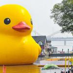 Giant Rubber Duck