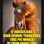 Farah Fawcett Mustang | IF HORSES HAD HIGH SCHOOL YEARBOOKS, THIS PIC WOULD BE FROM ABOUT 1981 | image tagged in horse,memes,yearbook | made w/ Imgflip meme maker