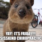 yay it's friday | YAY!  IT'S FRIDAY!!! SISSKIND CHIROPRACTIC | image tagged in yay it's friday | made w/ Imgflip meme maker