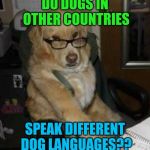 smart dog | DO DOGS IN OTHER COUNTRIES; SPEAK DIFFERENT DOG LANGUAGES?? | image tagged in smart dog | made w/ Imgflip meme maker