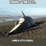 whale | THINKS: “THAT’S IT…; …COME A LITTLE CLOSER…” | image tagged in whale | made w/ Imgflip meme maker