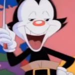 Dumb yakko