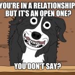 Mr. Pickles you don't say | YOU'RE IN A RELATIONSHIP, BUT IT'S AN OPEN ONE? YOU DON'T SAY? | image tagged in mr pickles you don't say | made w/ Imgflip meme maker