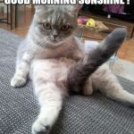 Sexy Cat Meme | GOOD MORNING SUNSHINE ! | image tagged in memes,sexy cat | made w/ Imgflip meme maker