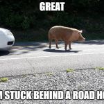 Road Hog | GREAT; I'M STUCK BEHIND A ROAD HOG | image tagged in road hog,late for work,excuses,funny,traffic jam,memes | made w/ Imgflip meme maker