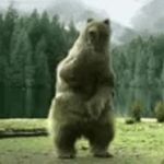 Dancing Bear GIF Template