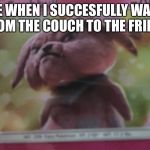 Mean rabbit | ME WHEN I SUCCESFULLY WALK FROM THE COUCH TO THE FRIDGE | image tagged in mean rabbit | made w/ Imgflip meme maker