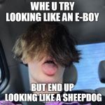 e boy try hard | WHE U TRY LOOKING LIKE AN E-BOY; BUT END UP LOOKING LIKE A SHEEPDOG | image tagged in e boy try hard | made w/ Imgflip meme maker