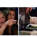 Cat at Dinner meme