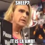 It's Ma'am | SHEEP? IT IS LA'AMB! | image tagged in it's ma'am | made w/ Imgflip meme maker