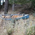 Deer in a canoe