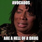 cocaine hell of a drug | AVOCADOS; ARE A HELL OF A DRUG | image tagged in cocaine hell of a drug | made w/ Imgflip meme maker