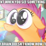 Shocked Scootaloo | THAT MOMENT WHEN YOU SEE SOMETHING AWESOME; AND YOUR BRAIN DOESN’T KNOW HOW TO RESPOND | image tagged in shocked scootaloo | made w/ Imgflip meme maker