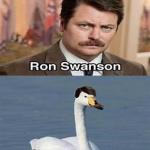 Swan ronson