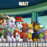 Wait WHAT!? | WAIT; HOW DID MEGGY GET HERE? | image tagged in all 8 paw patrol pups at the lookout | made w/ Imgflip meme maker