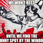 Cats have their limits. | WE WON'T REST; UNTIL WE FIND THE SUNNY SPOT BY THE WINDOW | image tagged in chairman meow motivational,memes,sunny,window | made w/ Imgflip meme maker