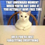 sit down human | THAT AWKWARD MOMENT WHEN YOU'RE NOT SURE IF YOU ACTUALLY HAVE FREE TIME; OR IF YOU'RE JUST FORGETTING EVERYTHING. | image tagged in sit down human | made w/ Imgflip meme maker